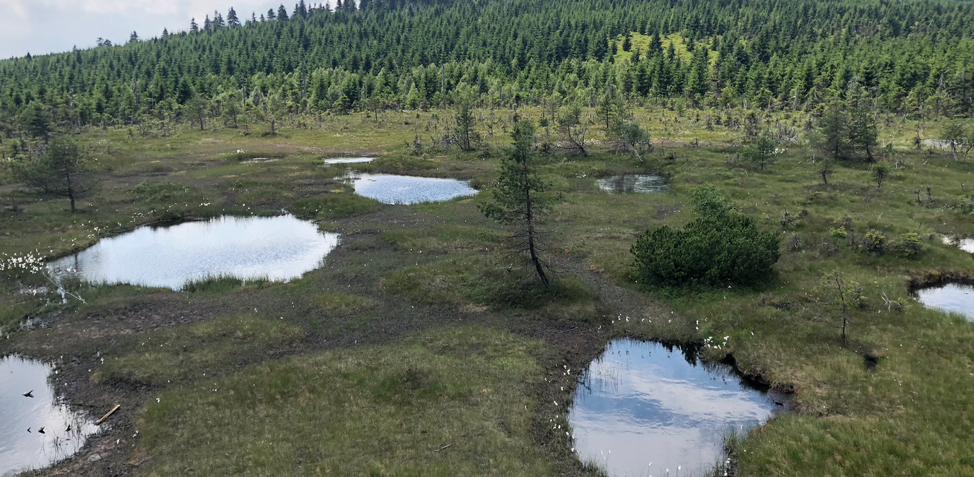 Large water puddles in meadow at foot of mountain