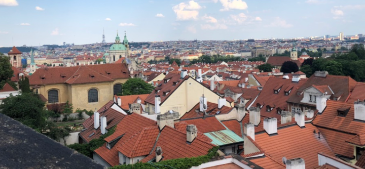 roof top view of city